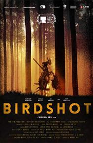 Birdshot poster