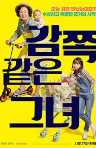 A Little Princess poster