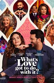 What's Love Got to Do with It? poster
