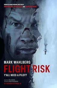 Flight Risk poster
